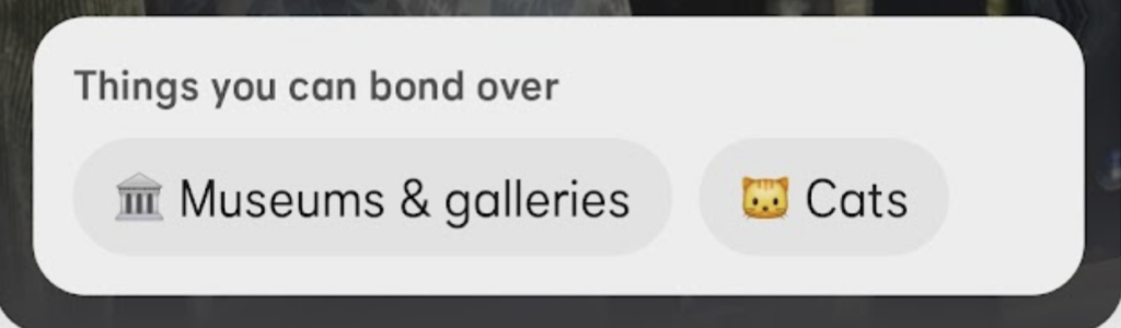 A screenshot of Bumble's "Things you can bond over" feature with interests that matches, which in this case are museums & galleries and cats.